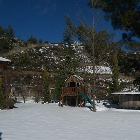 Agros Timber Log House Villa Kültér fotó