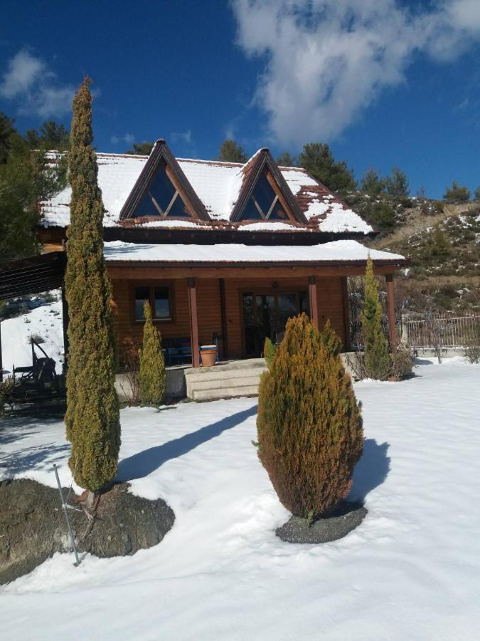 Agros Timber Log House Villa Kültér fotó