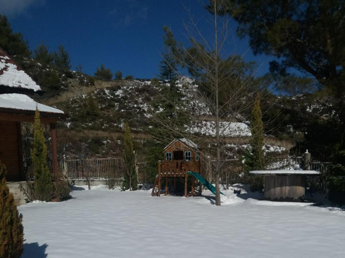 Agros Timber Log House Villa Kültér fotó