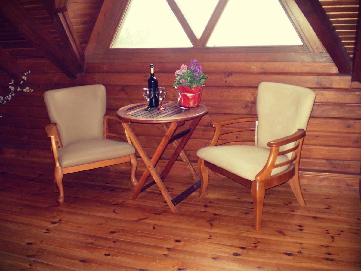 Agros Timber Log House Villa Kültér fotó