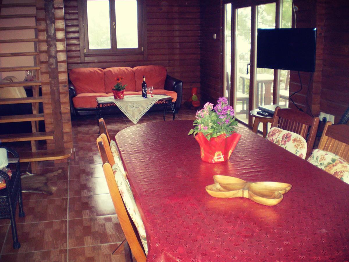 Agros Timber Log House Villa Kültér fotó