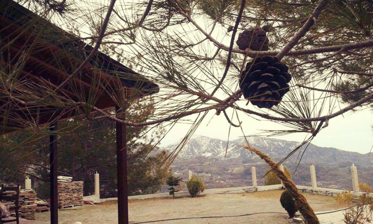 Agros Timber Log House Villa Kültér fotó