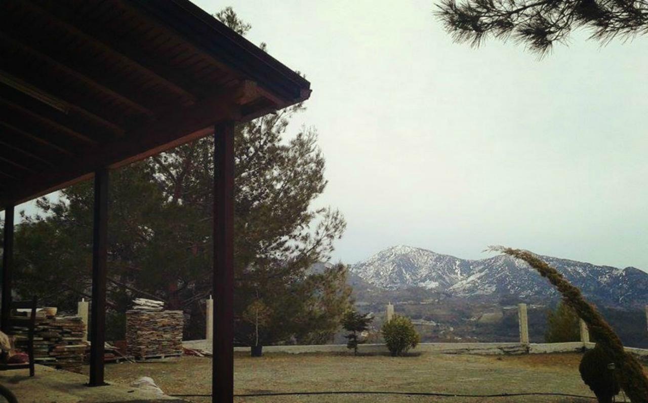 Agros Timber Log House Villa Kültér fotó