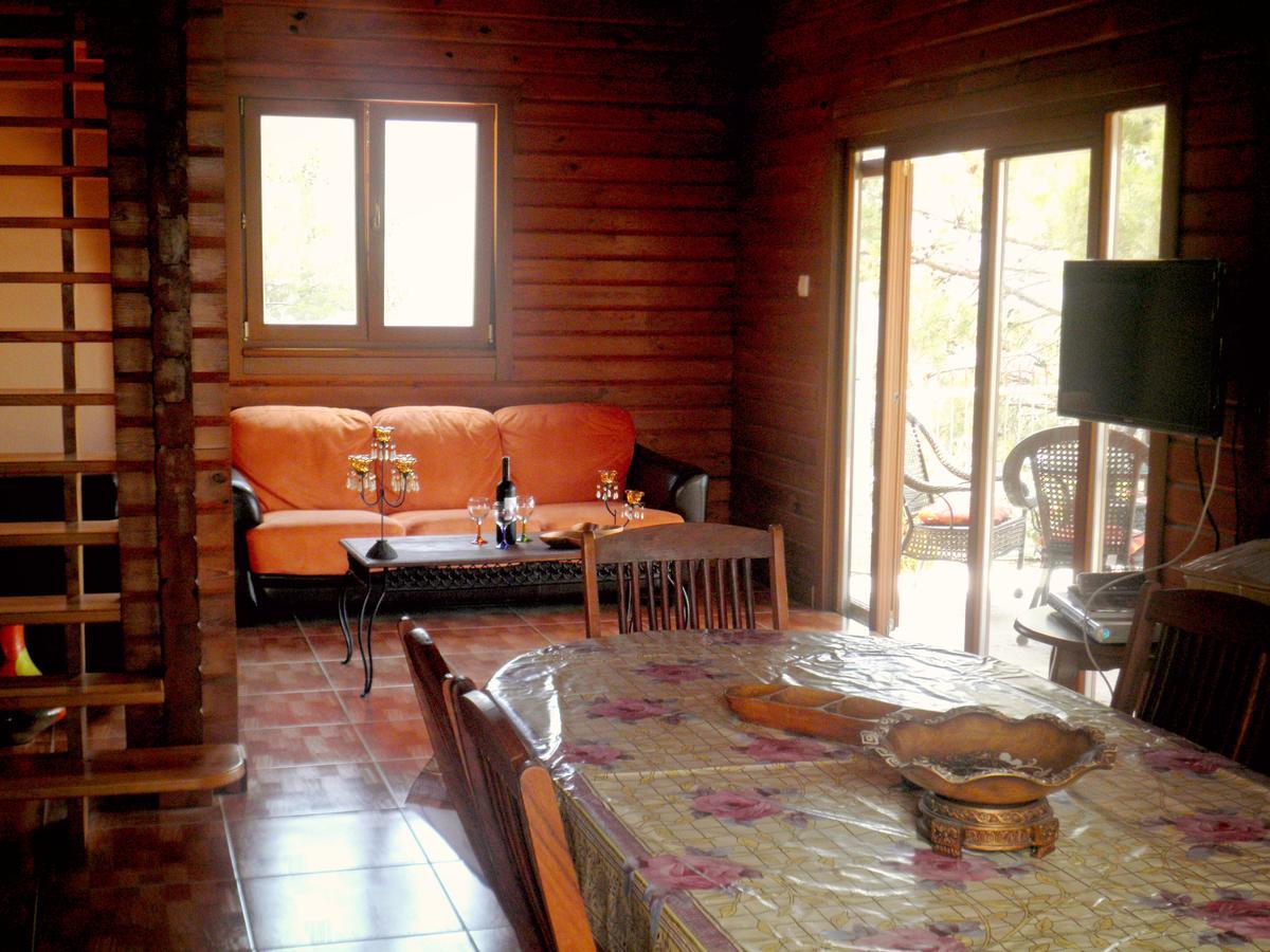 Agros Timber Log House Villa Kültér fotó