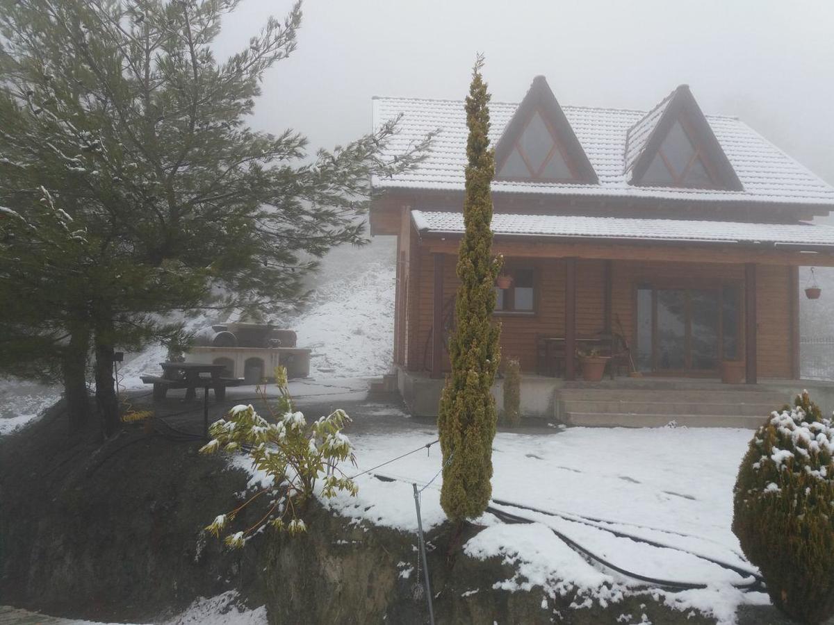 Agros Timber Log House Villa Kültér fotó